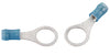 PIDG 6.35 mm Nylon Ring Terminal | 16 – 14 AWG, Blue,321045