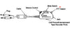 Switch & Cable Assembly | CIJ-055 & CIJ-068 Jacks/Switches, CIPC-055 & CIPC-068 Plug | 6 ft Coil Cable,CIX3A2GK6-