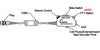 Switch & Cable Assembly | TJT-120 Civil Jack/Switch, MS3476W10-6P Plug | 3 ft Coil Cable,CIX414K36W