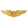 Flight Wings Pin | Gold, 1-1/2 Inch,WNG2-TG